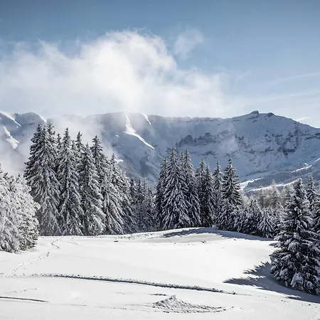 Chic Alpin A Avec Balcon Et Parking Couvert - Fr-1-569-74 Apartment Megeve